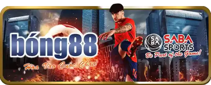 Cá cược trực tiếp tại hi88 bet