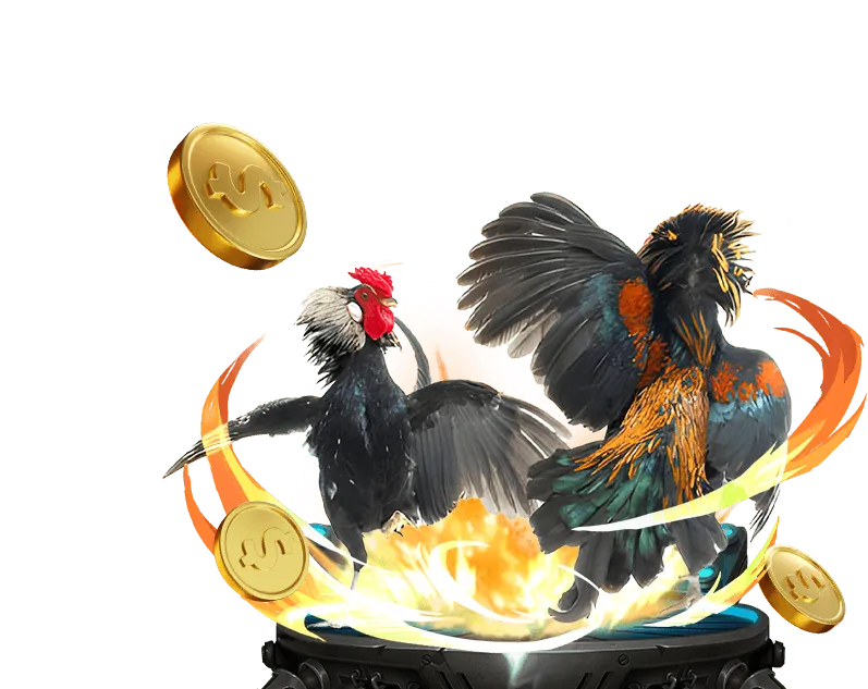 Các loại hình cá cược đá gà