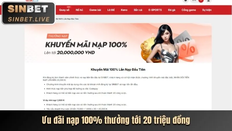 Chương trình VIP hi88 bet